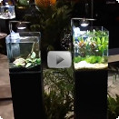Nano-Aquarium Video